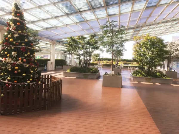 屋上庭園が現れる！
