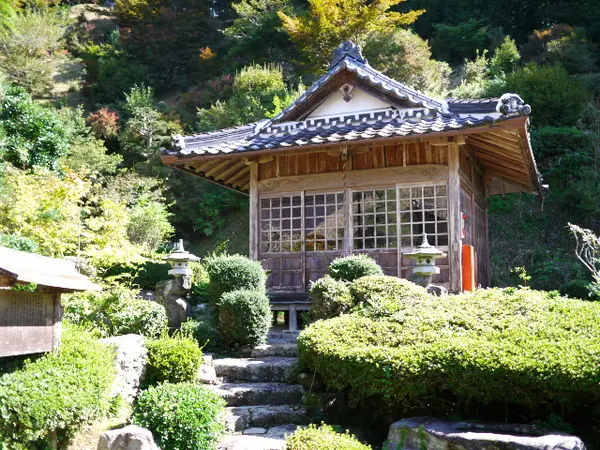 晩秋もオススメ