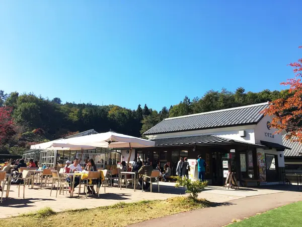 本格的なピザ🍕