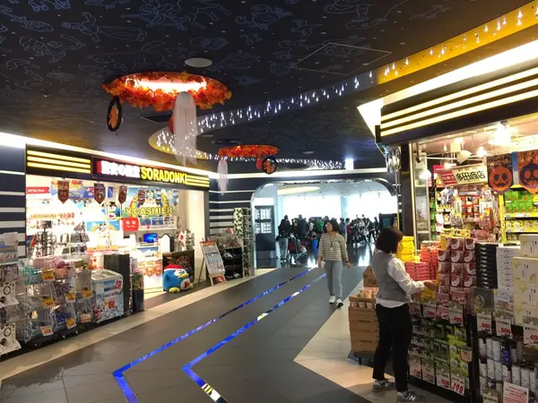 結構大きい