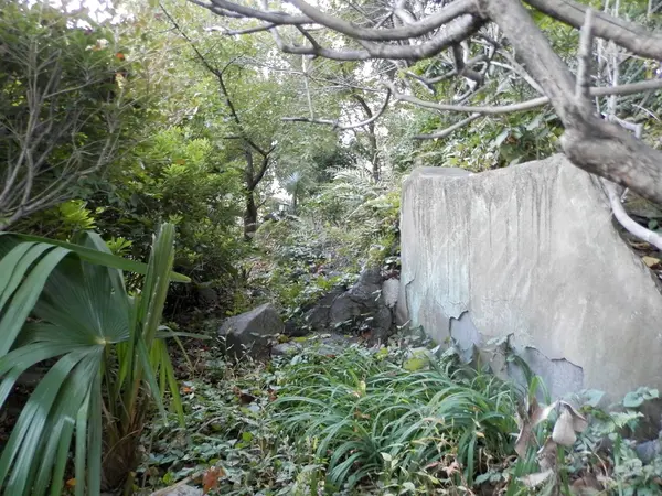 東石段右側を下から