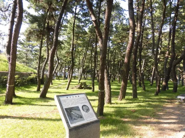 舞子浜遺跡