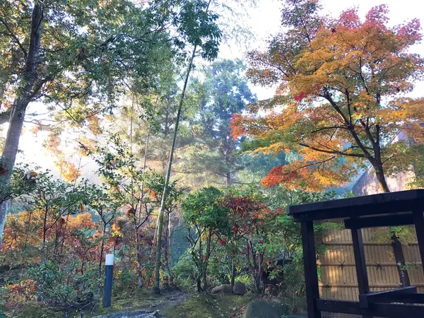 紅葉