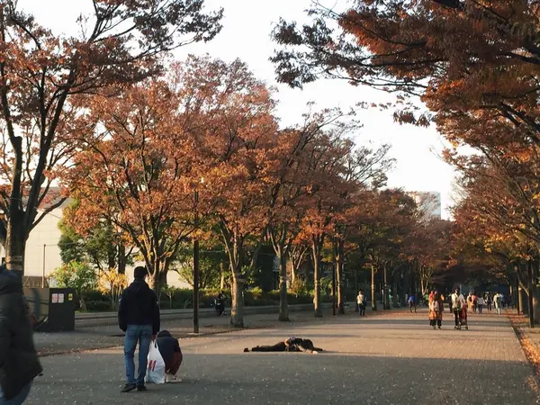 面白い人に出会えるかも