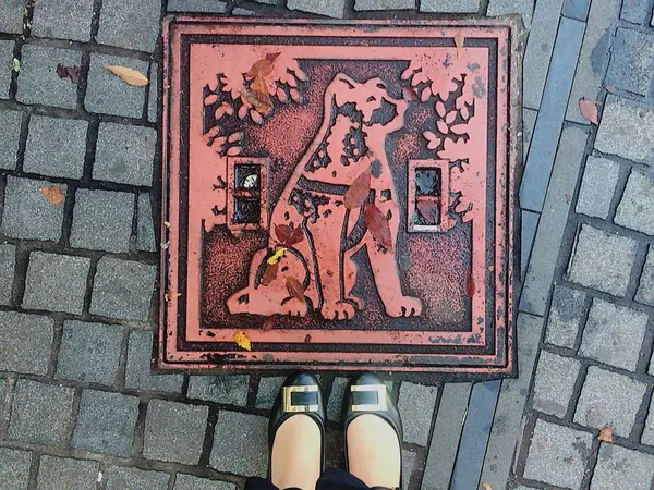 足元にも🐶！？