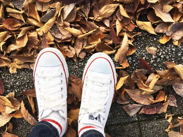 ぜひスニーカーで🏃👟