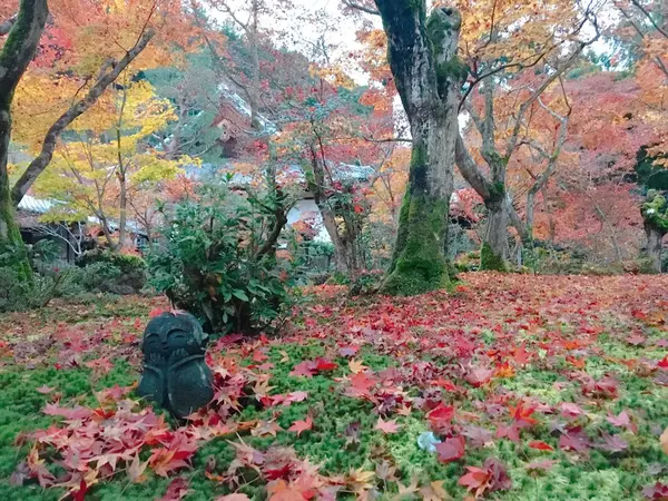 お地蔵さん×紅葉