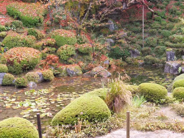 庭園