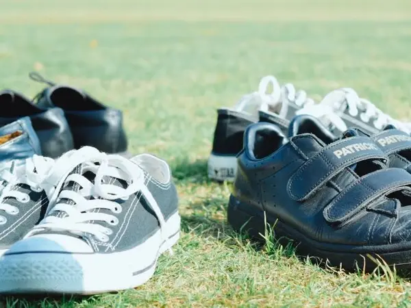 緑が生える！！