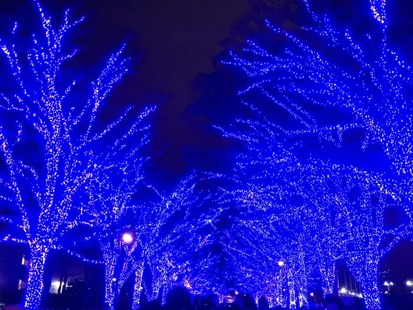 メイン通り