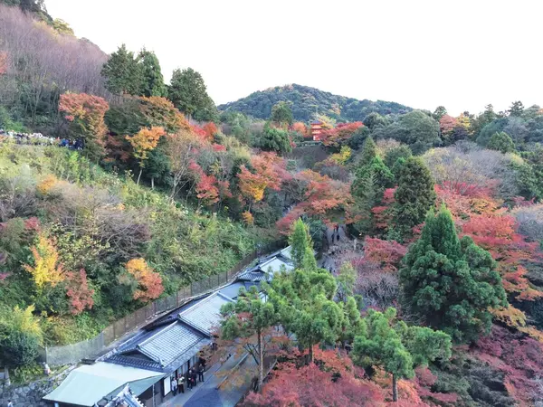舞台上からの景色