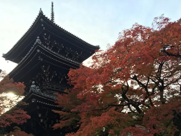 三重塔×紅葉