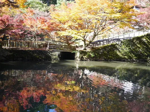 水に映る紅葉