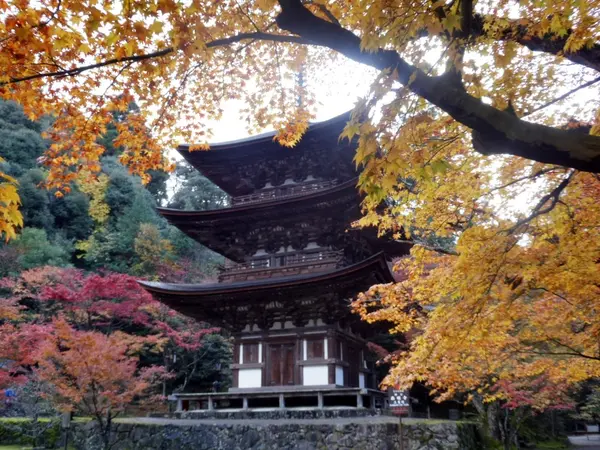 国宝の三重塔