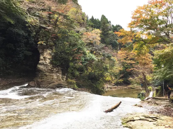 粟又の滝上