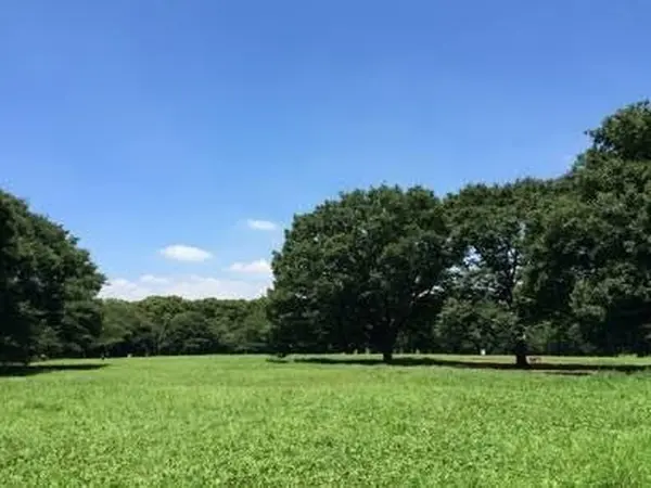 芝生