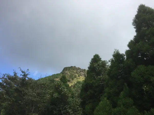 大観峰はこの辺り？