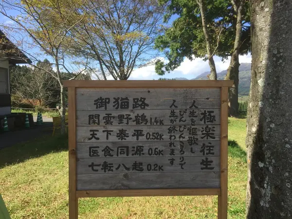 御猫道