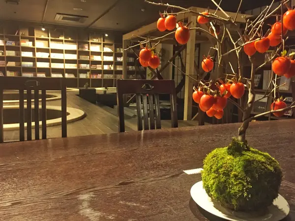 館内に四季折々の盆栽