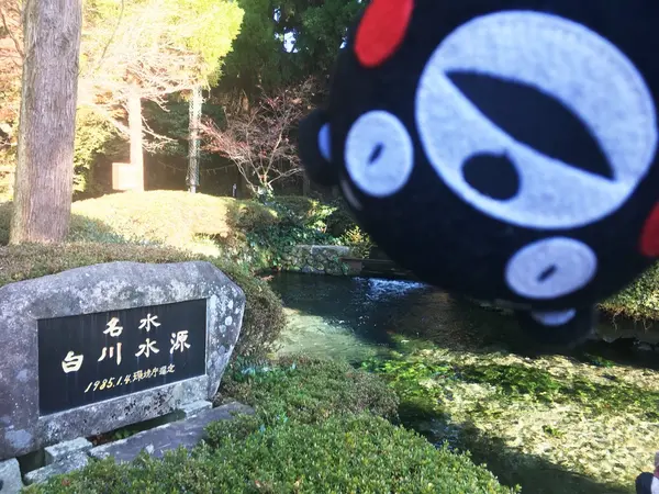 きれいなお水だモン☆