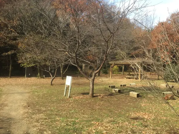 多摩美の森