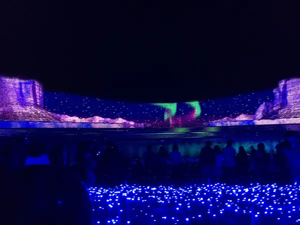 極地のオーロラ