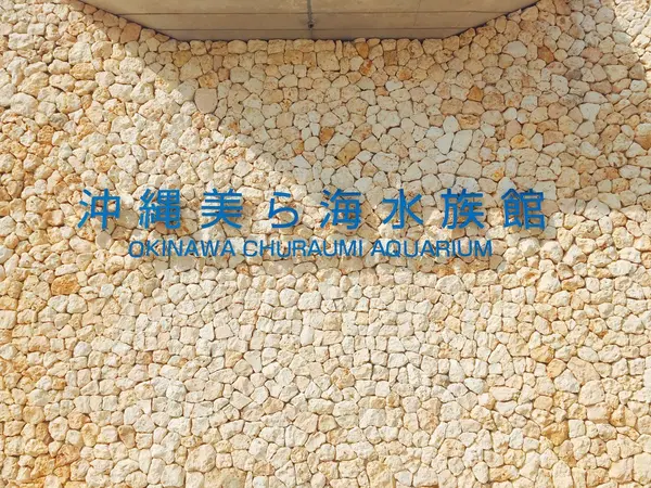 記念写真