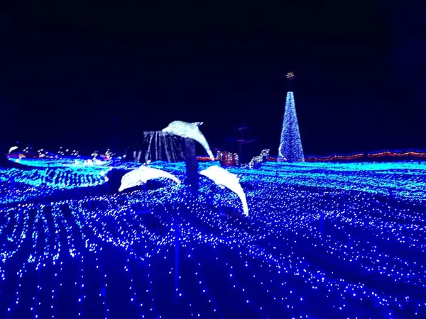 まるで海のよう！