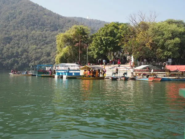 運動不足も解消!?