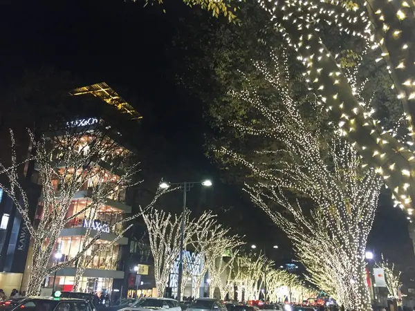 表参道のイルミネーションをみて心を癒す