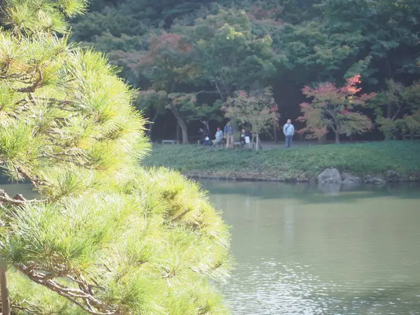 写真②