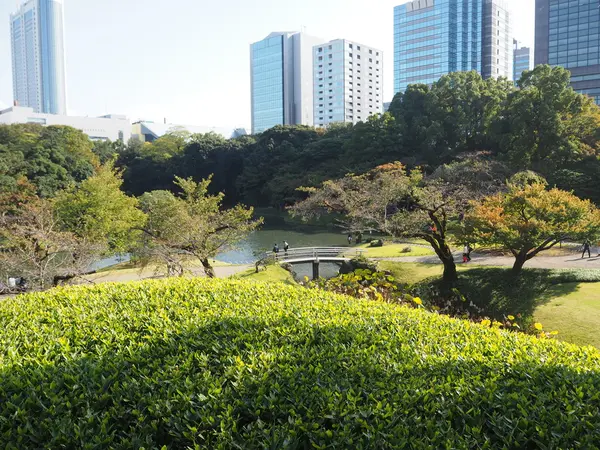 写真③