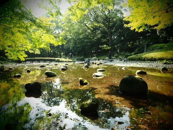 写真④
