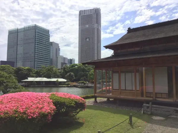 写真①