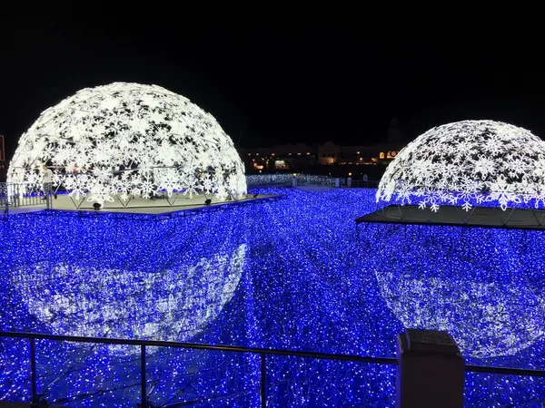 プールは光の海