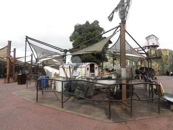 展示も