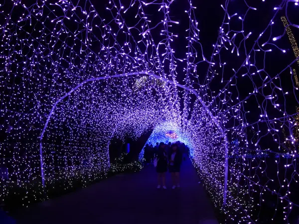 クリスマスもライトアップ