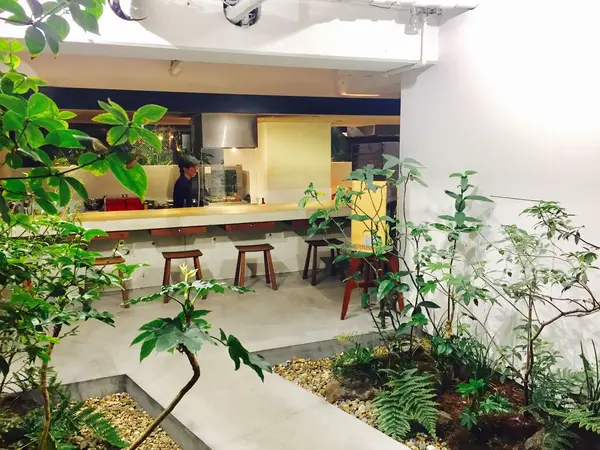店内には、グリーン🌿