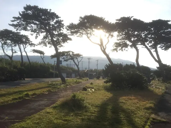 朝日に照らされた三原山