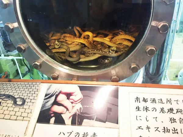 ハブ酒…