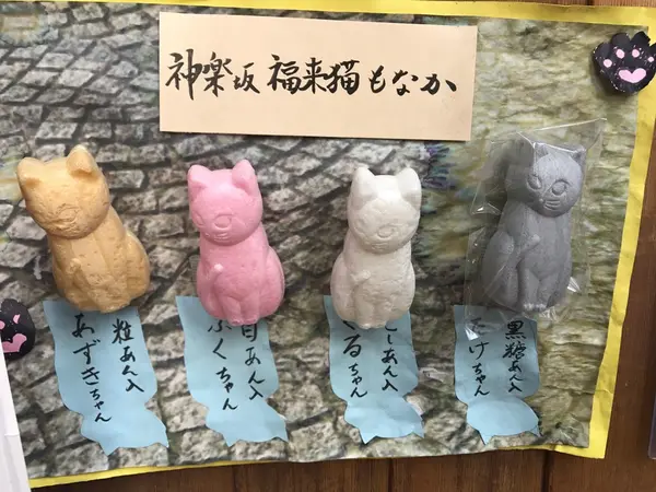 見た目も可愛い猫もなか