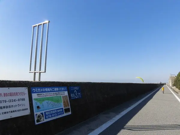 ウミガメも産卵に訪れる海岸
