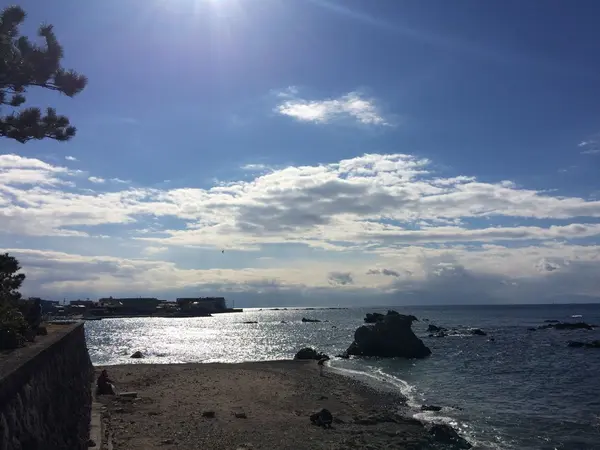 海
