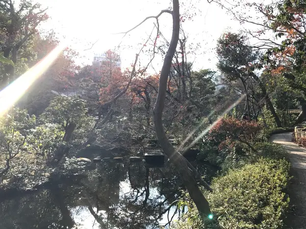 庭園