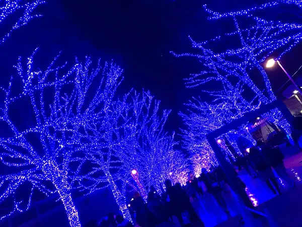 とにかく"青い"