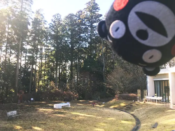 お庭もすてきだモン☆