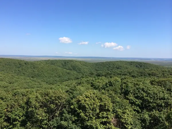 日本最大級の湿原