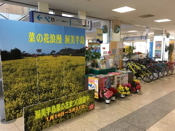レンタサイクル発見！