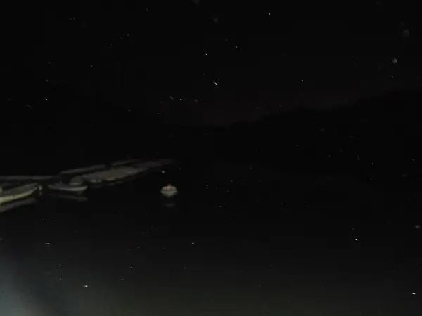 夜の池