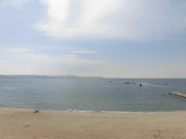 ＯＣＥＡＮ・ＶＩＥＷ